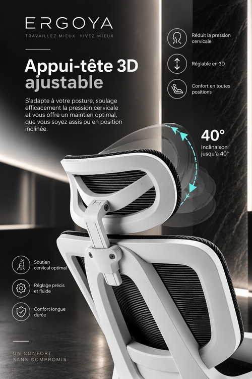 ERGOYA — Chaise de Bureau Ergonomique Professionnelle Premium