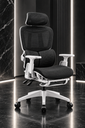 ERGOYA — Chaise de Bureau Ergonomique Professionnelle Premium